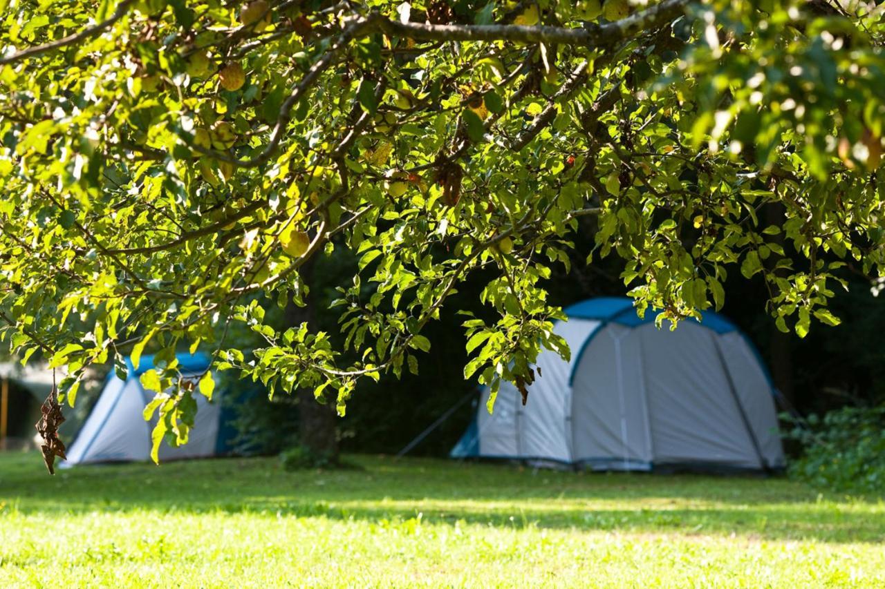Camping Naturplac Na Skali Ljubno Exterior photo