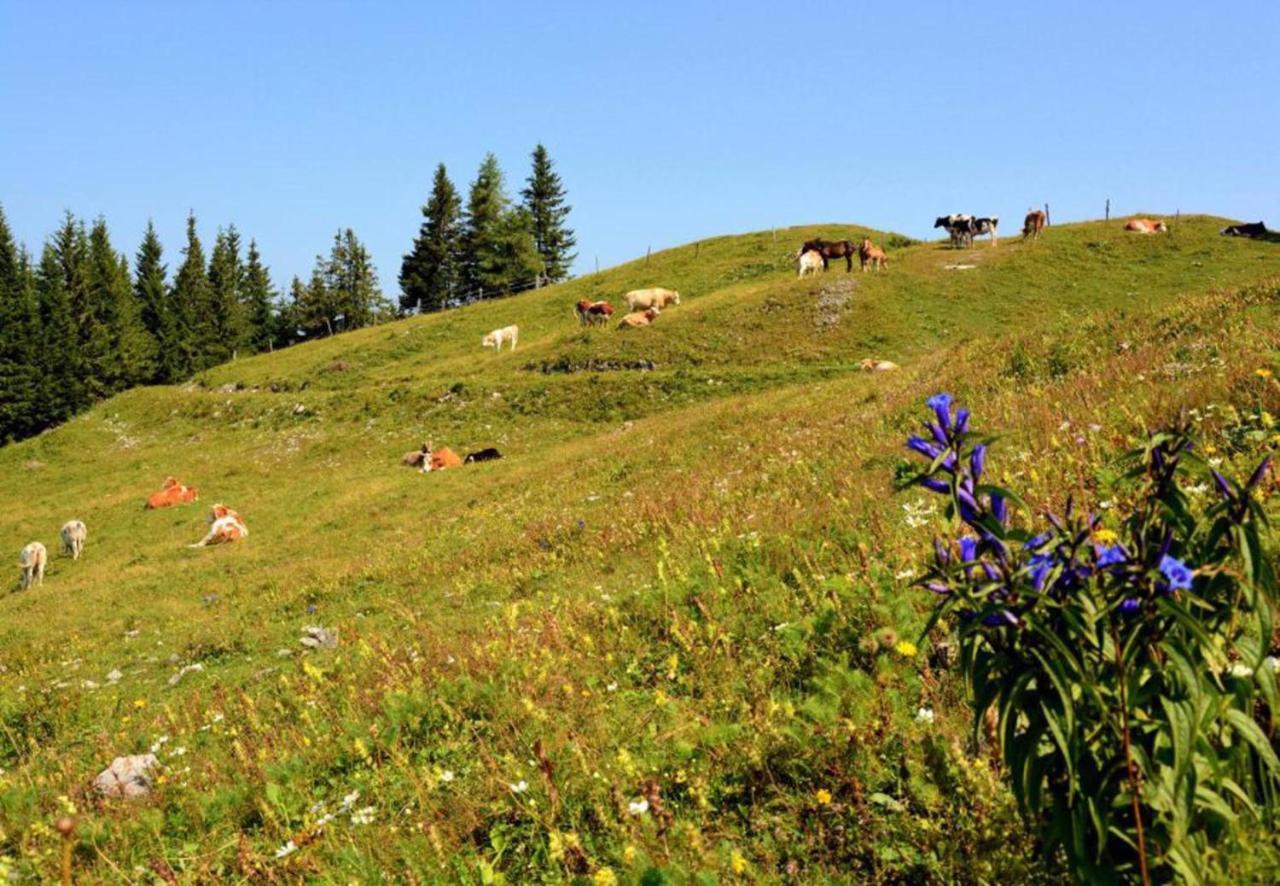 Camping Naturplac Na Skali Ljubno Exterior photo